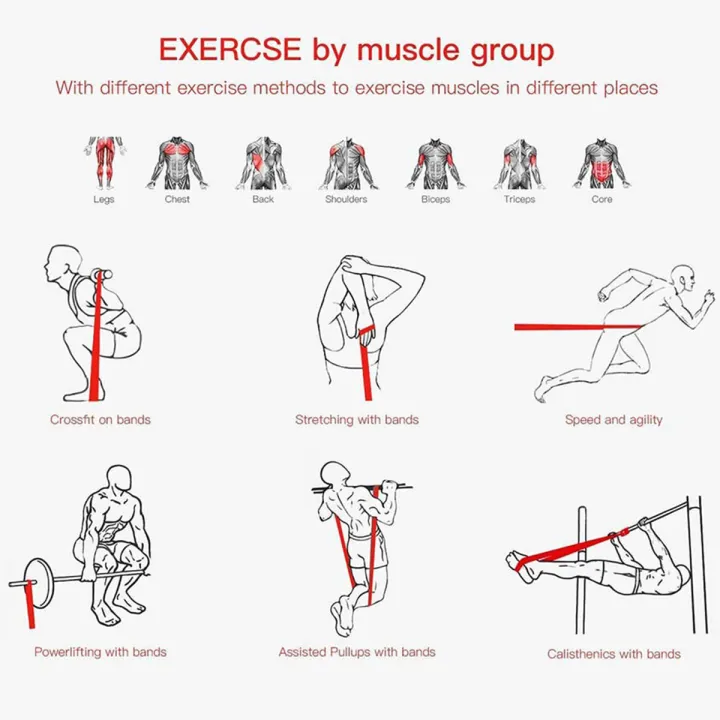 Resistance%20Bands%20Fitness%20Equipment%20Exercise%20Band%20Gym%20Strength%20Training%20Power%20Band%20Fitness%20Elastic%20Bands%20-%20Assorted%20Colors%20-%20Image%205