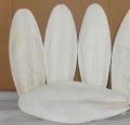 Cuttlefish Bone-1KG. 