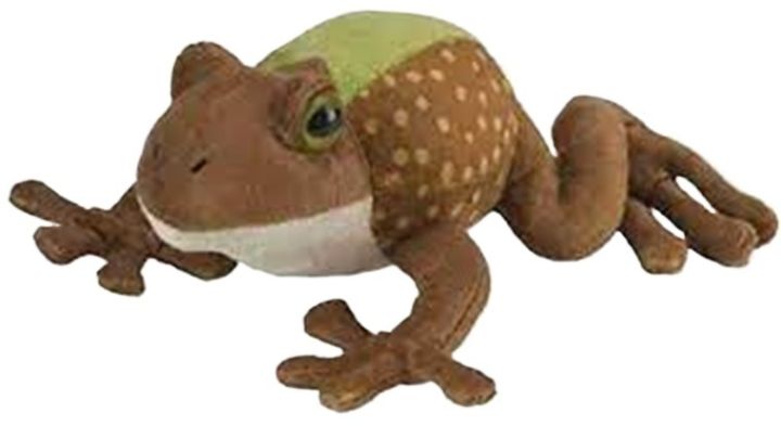 Talking Frog Stuffed Soft and Plush toy (8 inches)