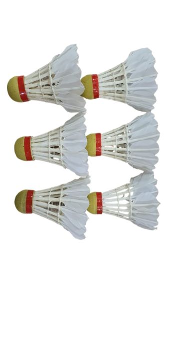 Premium%20Quality%20Choice%20%20Badminton%20Feather%20Shuttle%20Cocks%20Pack%20of%2012%20Shuttlecock%20Racket%20One%20Dozen%20Rocket%20Sports%20Tennis%20Badminton%20Shuttlecocks%20Year%202016%20-%20Image%205
