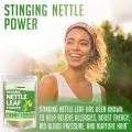 Organic Stevia Extract Powder 113. 