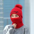 Women Autumn Winter Warm Balaclava Face Mask for Cold Weather Knitted Beanie Hat Warm Face Cover. 