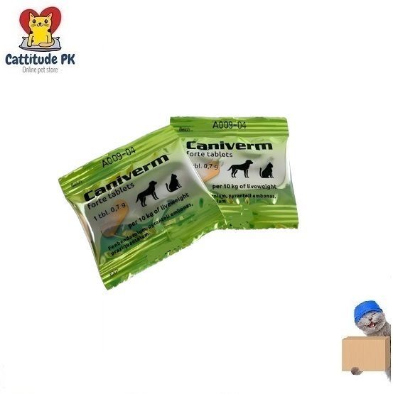 Caniverm Deworming Tablet for Dogs and Cats (1 Tablet)