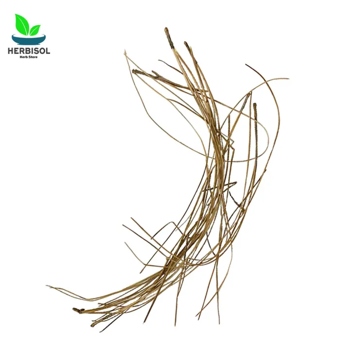 Barge%20Sanober%20500gm%20%D8%A8%D8%B1%DA%AF%20%D8%B5%D9%86%D9%88%D8%A8%D8%B1%20-%20Pine%20Nut%20Leaves%20Dry%20-%20Chilgozay%20Ke%20Patty%20-%20100%25%20Original,%20Pure%20-%20Barg%20e%20Snober%20Half%20KG%20by%20Herbisol%20-%20Image%203