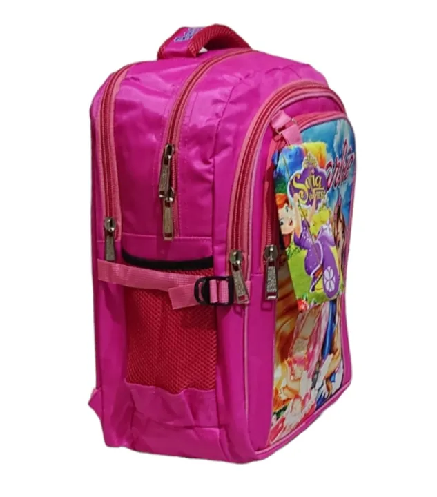 School%20bag%20for%20girls%20class%205%20to%2010%20color%20pink%20-%20Image%202
