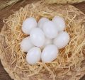 (10/15/24 Pcs) Light Weight Plastic Eggs Shell for Broody Hen Training  - Dummy Hollow Artificial Egg Shell. 