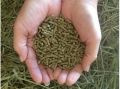 Small Pet Select-Premium Guinea Pig Food, Non-GMO, Soy Free. Local Ingredients in Pacific Northwest, 1kg pack. 