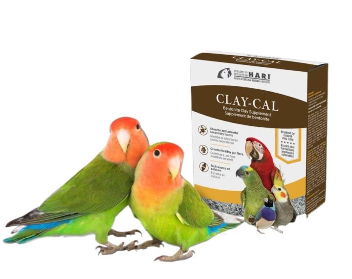 Hagen Clay Cal - Calcium Enriched Clay Supplement for Birds 575g box - Best Organic + Supplement Died for birds ( Imported By HARI HAGEN ) CANADA