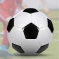 Size 5 Professional Training Soccer Balls PU Leather Black White. 