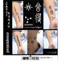 Temporary Tattoo 20 Days Get 1 Ink Bottle, Free With Instruction Paper. 