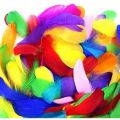 Pack of 12 Colorful Feathers for DIY Craft Wedding Home Party Decorations. 