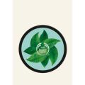 The Body Shop Fuji Green Tea™ Body Butter (200ML). 