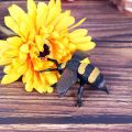 Odowalker 9 pcs Lifelike Assorted Plastic Insects Bugs Figures Realistic Sandbox Toy Butterfly, Bee, Ladybug, Grasshopper, Mantis,Uang,Stag Beetle. 