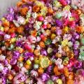 140PCS Real Dried Flowers Brazil Little Star Flower for DIY Art Craft Epoxy Resin Candle Making Jewelry Wedding Home Decoration. 
