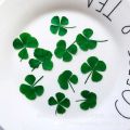 Q81D 10 Pcs Real Dried Pressed 4-leaf Clover Dried Flowers Leaves Epoxy Mold Fillers for DIY Resin Crafts,Soap Candle Making. 