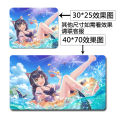 Anime mouse pad, computer game desk pad, Joan of Arc Saber 2D. 