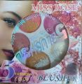 5 in 1 Professional Terracotta Blush On Palette Kit. 