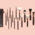 Zoeva 15 Piece Makeup Brushes With Pouch Pure Synthetic & Natural Complete Makeup Brush Set. 