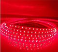 35 Metre LED Rope Light Bundle – Flexible, Waterproof, and Energy-Efficient Decorative Lighting for Indoor & Outdoor Use. 