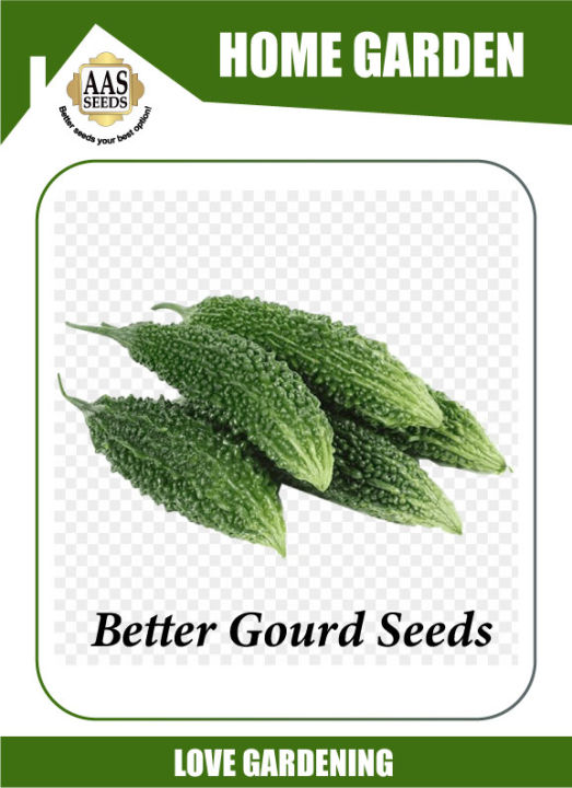 Seeds vegetable Better gourd (kareela ) summer vegetable seeds