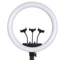 26cm/36cm/45cm LED Selfie Ring Light By Zayraz 10 inch, Ring Light 18 inch + 7.5 ft Metal Stand Dimmable LED Ring Lamp Photo Video Camera Phone Light ring-light For Live YouTube Fill Light.. 
