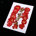 Dried Rose Pressed Flowers Plant for Epoxy Resin Jewelry Making Floral Decor. 