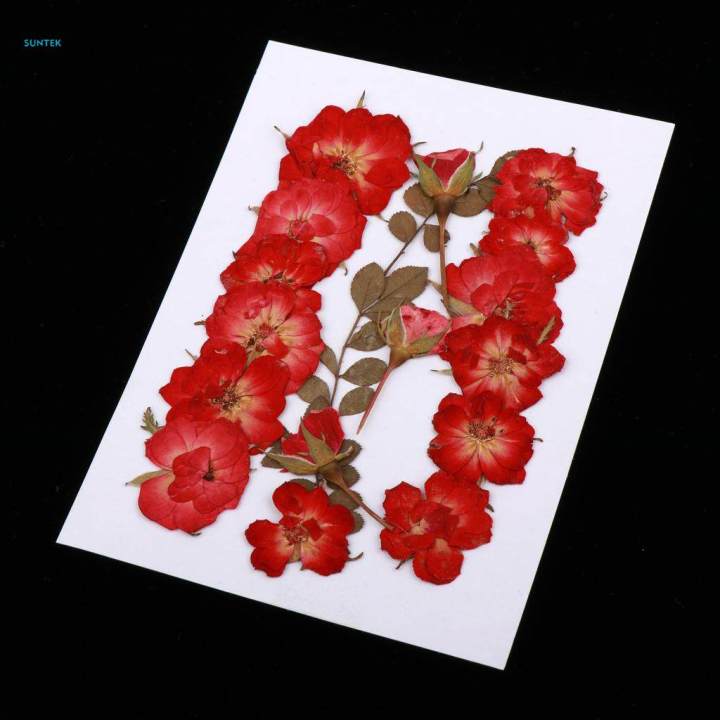 Dried Rose Pressed Flowers Plant for Epoxy Resin Jewelry Making Floral Decor
