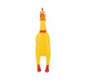 Rooster Shrilling Rubber Chicken Fun Toy 12 inch. 