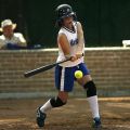 Baseball Bat 32 inch - Self Defense Baseball Bat - Baseball Bat Light Weight - Wooden Baseball Bats. 