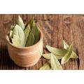 Tez patta (Bay Leaf) 100g. 