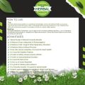 Stevia Powder for Tea, Sugar Free Natural Sweetener Zero Calorie, Drinking(Diabetes, Weight Loss, Eating, Baking) Green, Immunity, Pure, Herbal, Organic : 100gm, Candyleaf, Leaves, Leaf, Sweetleaf. 