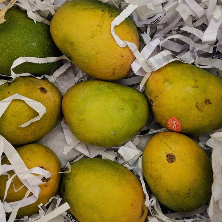 Anwar Ratol Mango 2.5KG
