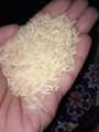 Super Kernel Basmati Rice 10kg. 