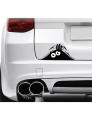 Monster Sticker - For Car. 
