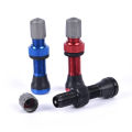 Bicycle Schrader Tubeless Valve Bike Valve Rim Wheel Tubeless Tire Tyre Valve Creek. 