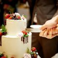 Techmanistan Wedding & Birthday Cake Knife and Server Set - Cake Cutter and Server Set. 