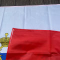 xvggdg 90x150cm Nice Polyester Russia's President Flag Russian Flag Polyester the Russia National Banner Moonlight. 