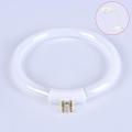 11W T4 Round Annular Tubes Lamps Bulb Fluorescent Ring Lamp Tube With 4 Pins Creek. 