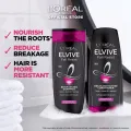 LOreal Paris Elvive Fall Resist Shampoo 360 ml - For Hairfall, Provides triple anti-hair fall action by nourishing the hair roots. 