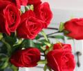 Pack of 18 Valentine's Day Gift For Lovers Red Rose Silk Artificial Flowers for Wedding Home Party Decoration. 