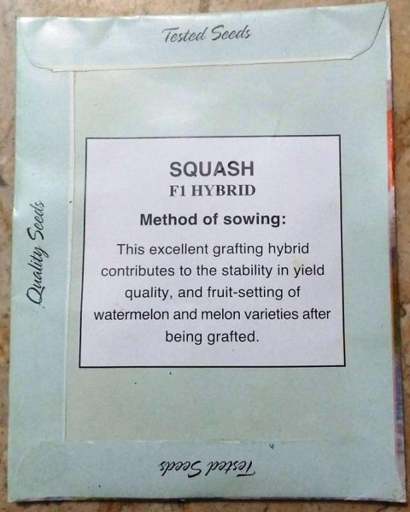 Squash%20F-1%20Hybrid%20Yukon%20-%20Image%203