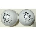 Practice Cricket Hard Ball (Synthetic) 2xBalls. 