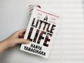 A Little Life by Hanya Yanagihara. 