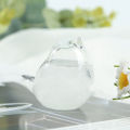 Glass Bird Barometer Handcrafted Bird Shape Weather Forecaster Barometer for Accurate Sunny Cloudy Day Predictions 30ml Bird-shaped Barometer. 
