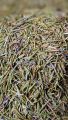 Premium Quality Rosemary Leaves (50Grams) "Organic Rosemary Leaves - Fresh Aromatic Herb for Cooking & Health Ideal for Strong Hair Growth Buy And Enjoy. 