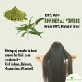 Bhringraj Powder |100 Grams| for Hair Growth, Skin and Eating - 100% natural, Eclipta alba, Bringraj Powder,. 