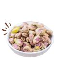 Pista – Pistachio – Pistachios Kernel – Pista Maghaz 500 Grams. 