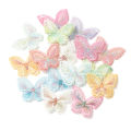 HomeInn Butterfly Appliques Exquisite DIY Craft Embroidery Patches. 