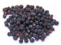 Habbul Aas | Habul Aas |  Myrtle | حب الآس | wt 250 gm. 