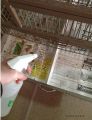 Old Newspaper Scrap Wholesale Prices / newspaper a bird cage / 1KG NEWS PAPER. 